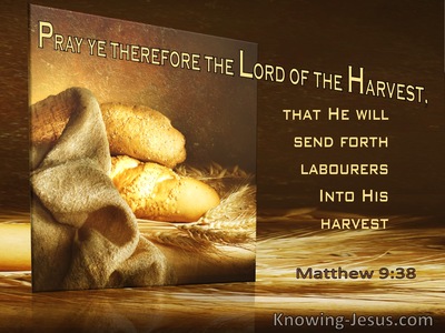 Matthew 9:38 Pray Ye Therefore The Lord Of The Harvest Will Send Labourers (utmost)10:16